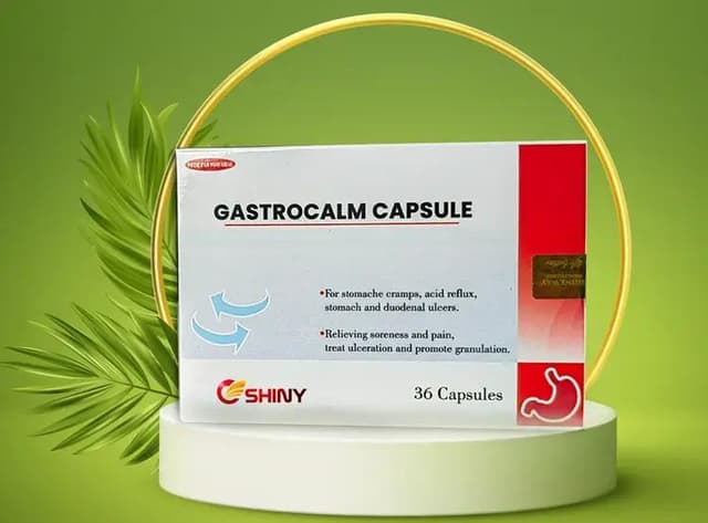 Understanding the Causes and Supporting Your Digestive Health