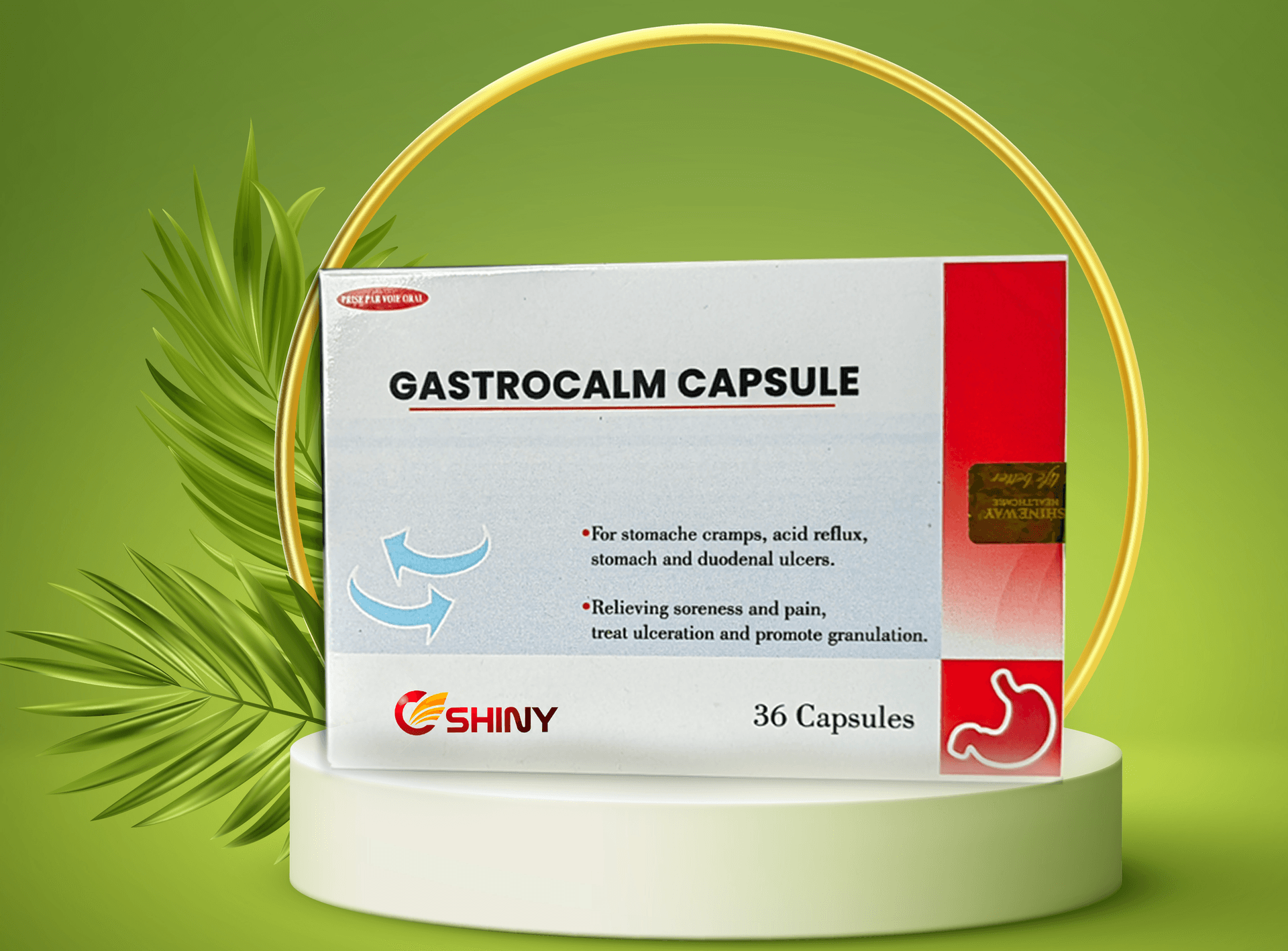 gastro-calm capsule