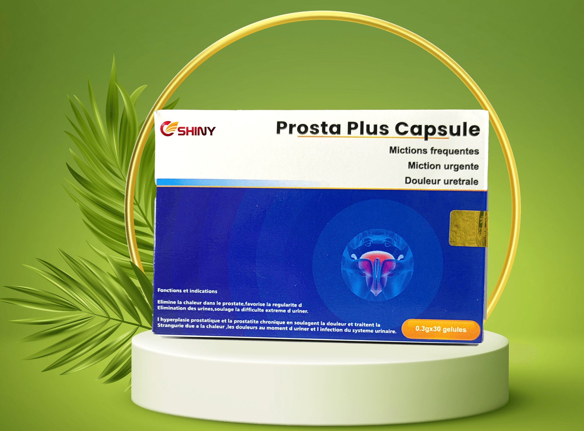 prosta plus